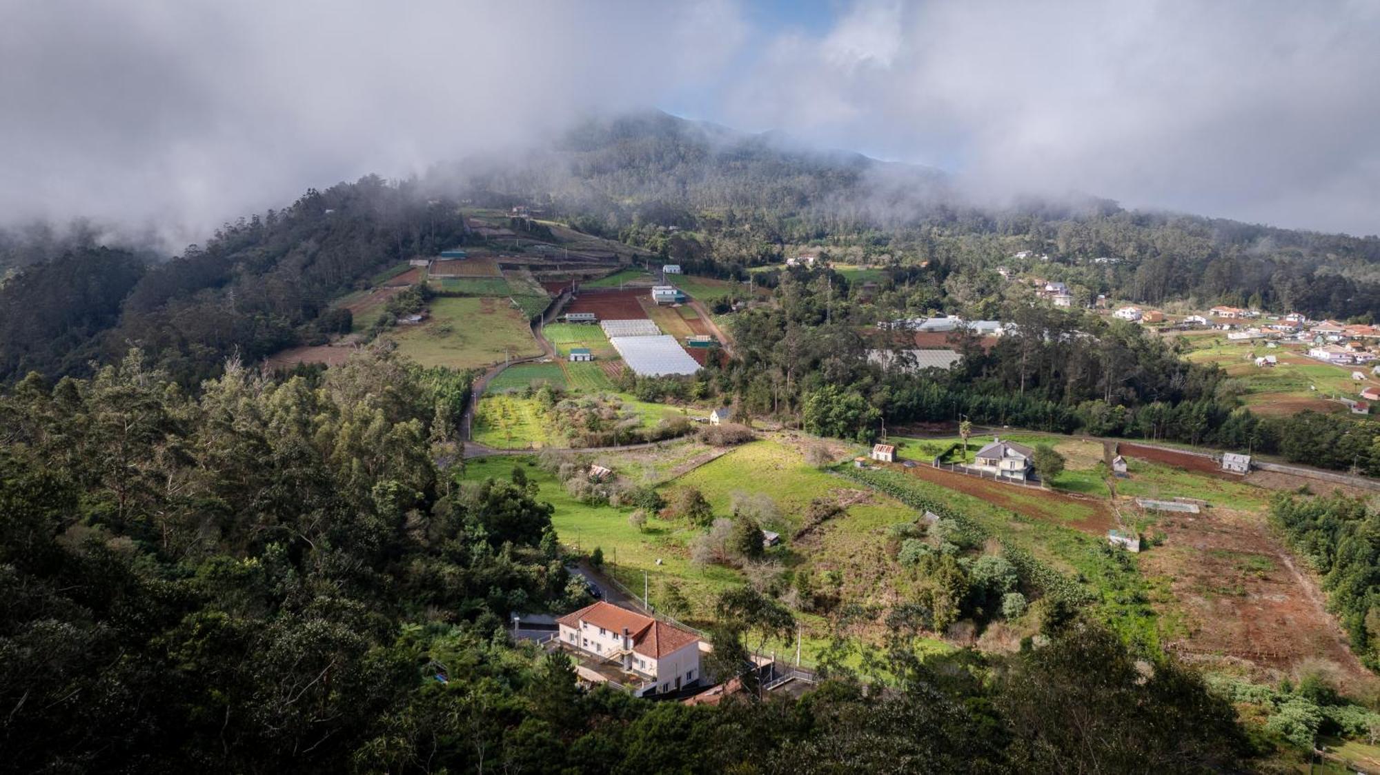 Casa Os Manos Vendégház Santana  Kültér fotó